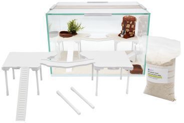 Etage für Becken 