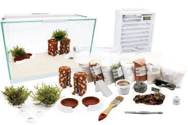 Ameisen Starter Set XL-S Ameisenfarm H2 & Ameisen nach Wahl 