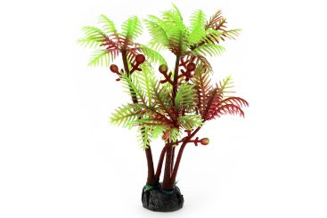 Palme Sahara 