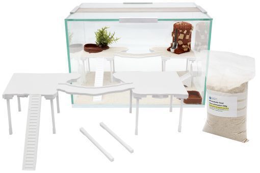 Etage für Becken 