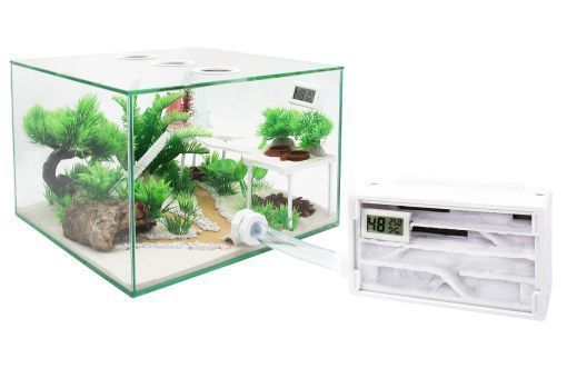 Ameisenfarm Komplettset 3XL & Ameisenfarm H1 & Ameisen nach Wahl 