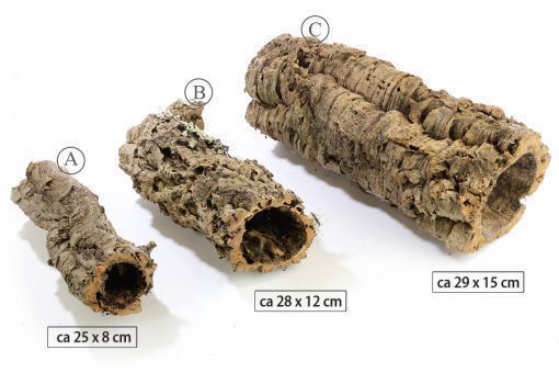 Korkröhren verschiedene Größen 