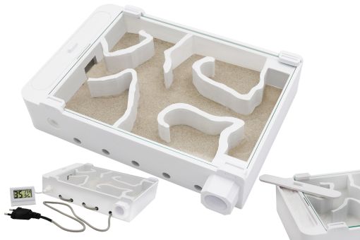 Ameisenfarm R2S mit Sand 
